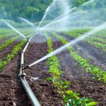 دستگاه تصفیه آب کشاورزی و گلخانه‌ای